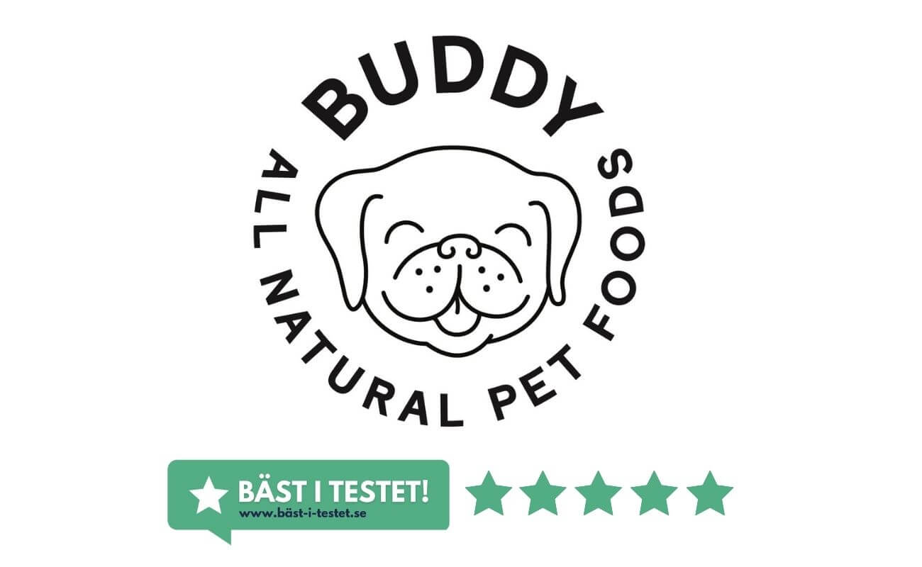buddy pet foods